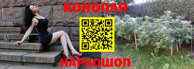 индика Будённовск