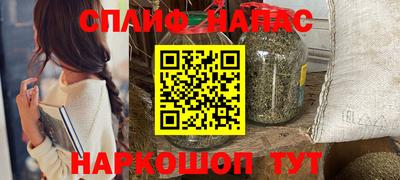 индика Будённовск