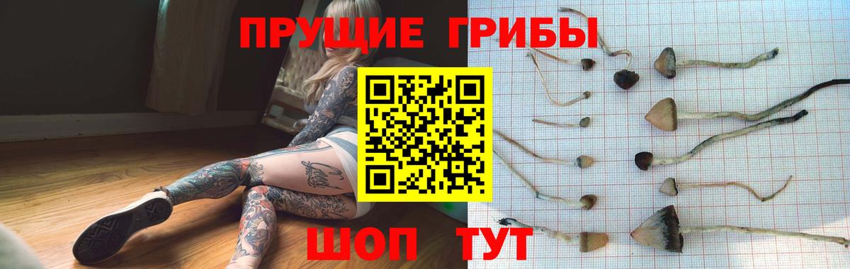 Псилоцибиновые грибы MAGIC MUSHROOMS  Вход с VPN  Лесозаводск  Псилоцибиновые грибы Psilocybe 